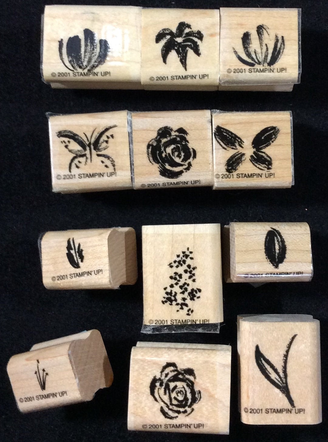 Watercolor Minis Wood Mounted Rubber Stamp Set From Stampin Up, Flowers ...