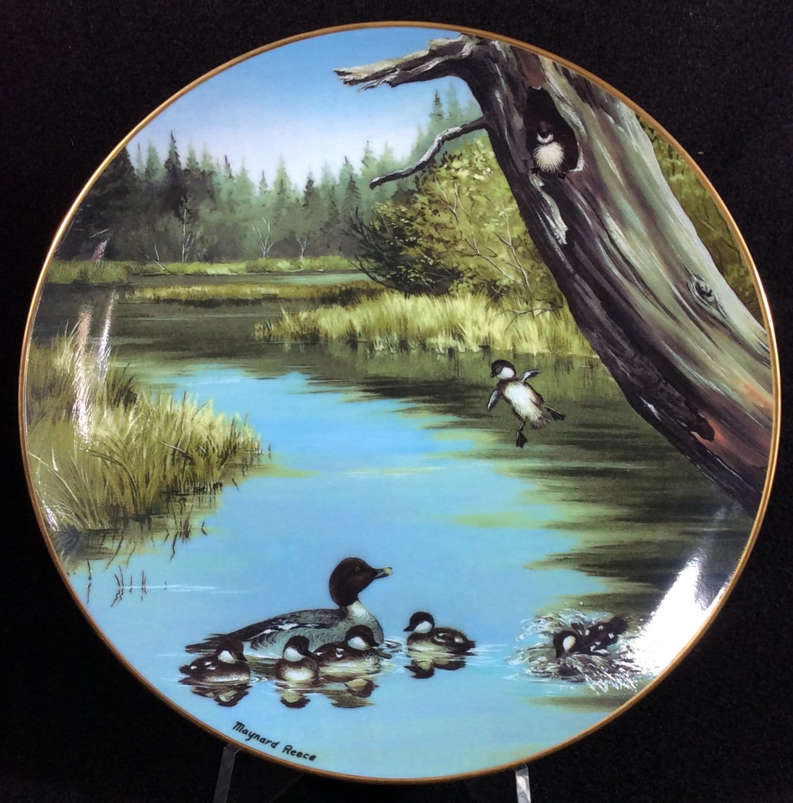The Swimming Lesson Collector Plate by Maynard Reece From the