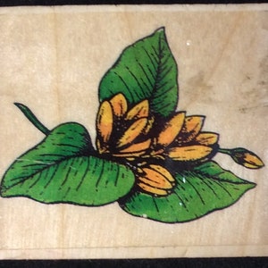 Flower Wood Mounted Rubber Stamp By Stamp Affair, Flowers, Flower, Floral, Spring, Summer, Mother&#39;s Day