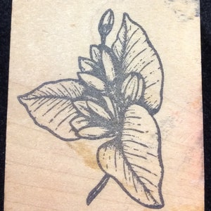Flower Wood Mounted Rubber Stamp By Stamp Affair, Flowers, Flower, Floral, Spring, Summer, Mother&#39;s Day