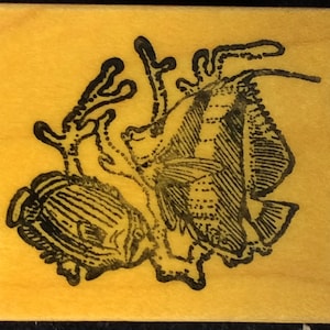 Tropical Fish Wood Mounted Rubber Stamp, Ocean, Aquarium,