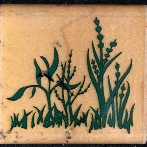 Sello de goma montado en madera de hierbas y plantas de Inkadinkado, vegetación, jardín,