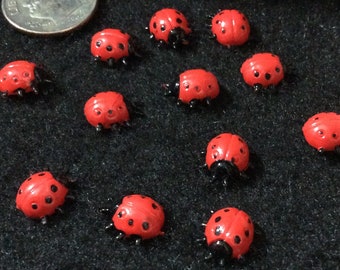 Twelve Tiny 3/8 Inch Little Plastic Miniature Lady Bugs, Doll House, Shadow Box, Diorama, Paper Crafting, Mixed Media, Scrapbooking, Cards