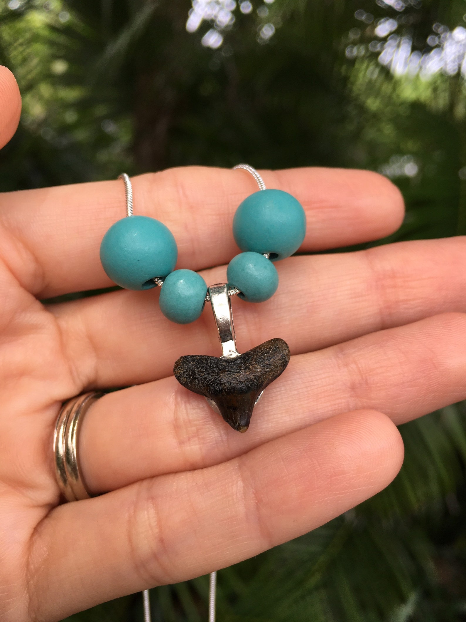 Fossilized Shark Tooth Pendant with turquoise colored wood Etsy