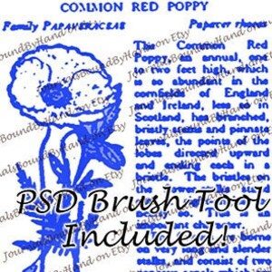 TÉLÉCHARGEMENT NUMÉRIQUE ! Le livre de l'observateur de fleurs sauvages - pinceau Photoshop coquelicot rouge commun et PNG transparent pour clipart - 3 fichiers au total
