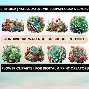 Watercolor Succulent ClipArts, 300 DPI, 20 individual PNG&#39;s with transparent background