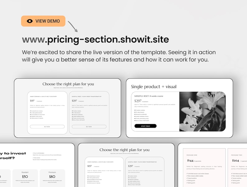 May include: A website screenshot showing a pricing table for different services. The table includes options for a single product with visual elements, a mindful reset, and a standard and premium option. The website address is www.pricing-section.showit.site.