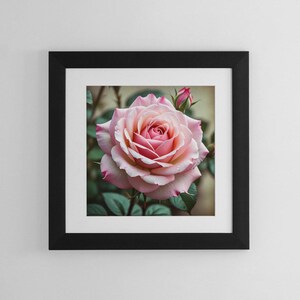 Blooming Pink Rose Digital Wall Art Rose Artwork Rose Photography Rose Poster Pink Roses Coquette Room Decor