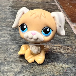Littlest Pet Shop LPS #788 Golden Retriever Puppy Dog Blue Eyes