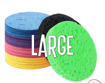 LilyPad Replacement Sponges - Large