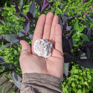 Desert Rose Selenite