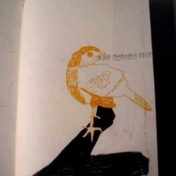 I Am Hating This-28 Page Full Colour Zine
