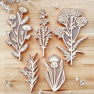 Set van 5 rubberstempels Herbarium / groot formaat / bloemen / bloemmotief / stempelstoffen / papier / karton / hout