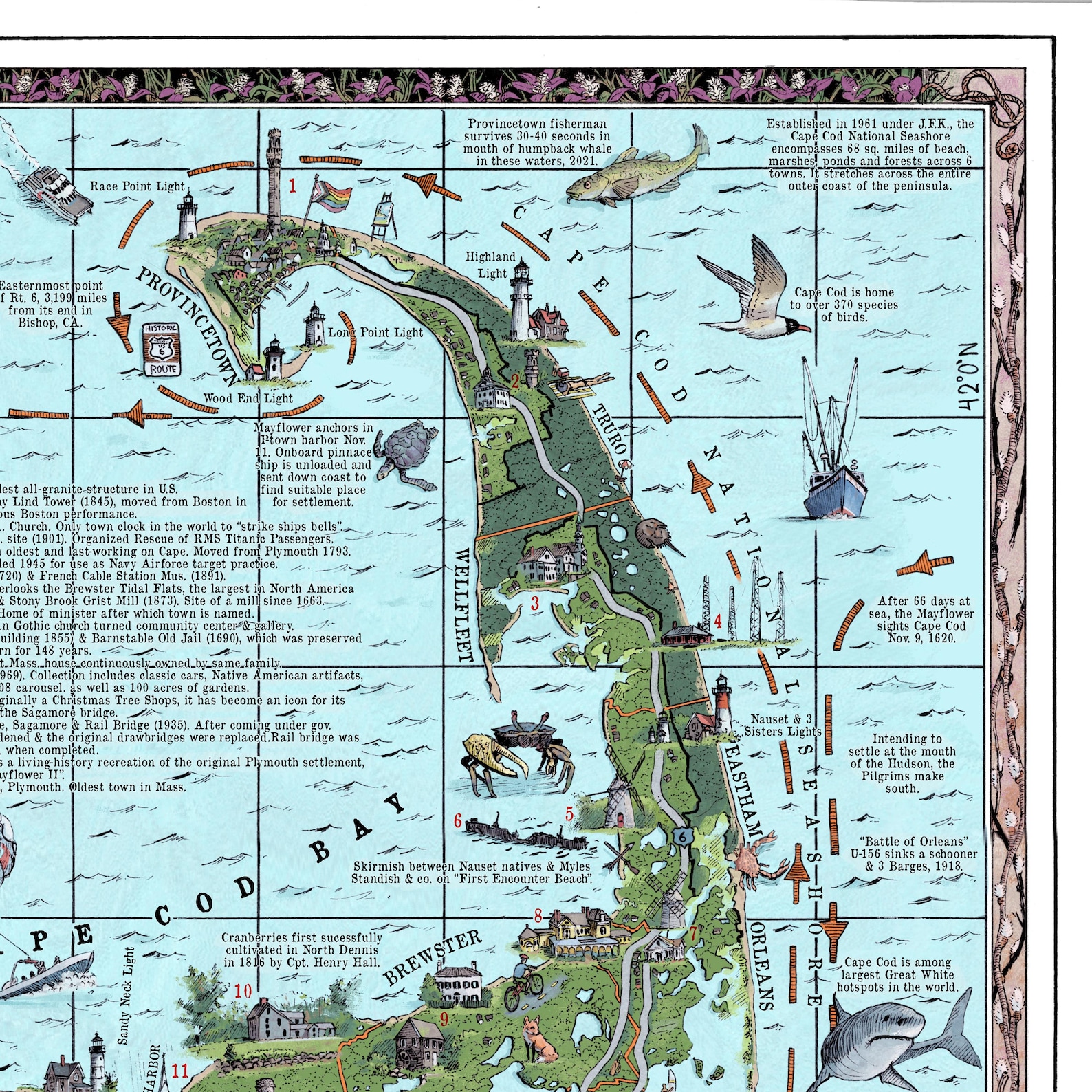 Cape Cod & the Islands Illustrated Map Print - Etsy