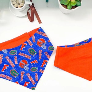 Reversible Florida Gators Pet Bandana