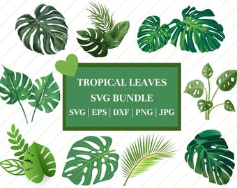 Monstera Leaf SVG Bundle: Tropical Leaves Clipart (Digital Download)