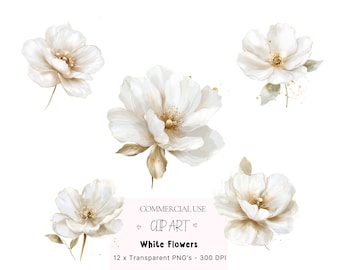 White and Gold Flower Clipart, Floral PNGs (Digital Download)