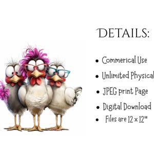 May include: Three cartoon chickens with expressive eyes and vibrant accessories. One chicken wears pink glasses and a matching feather, another has red glasses, and the third sports blue glasses. The image includes the text "DETAILS:" and bullet points about the product.