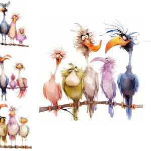 Clipart oiseaux lunatiques oiseaux drôles Clipart numérique aquarelle Clipart haute qualité JPG Clipart imprimable sous licence commerciale oiseaux excentriques