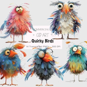 Bundle de cliparts oiseaux insolites, clipart oiseaux drôles, drôles d'oiseaux PNG Clipart oiseaux fantaisistes, oiseaux insolites PNG, drôles d'oiseaux insolites PNG