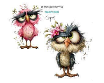 Rolig fågel Clipart: Nyckfulla akvarellfåglar 15 PNG-filer - Digital nedladdning