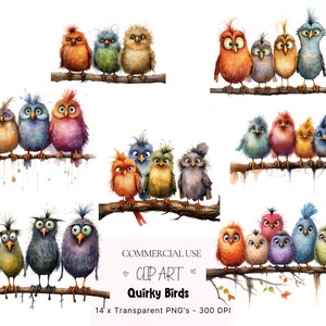 Schrulliges Vögel Clipart-Bundle, lustige Vögel Clipart, lustige Vögel PNG, wunderliche Vögel Clipart, lustige Vögel PNG, lustige schrullige Vögel PNG