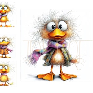 14 cliparts numériques drôles d'oiseaux énervés Clipart aquarelle haute qualité JPG clipart imprimable poussins de Pâques, oiseaux insolites
