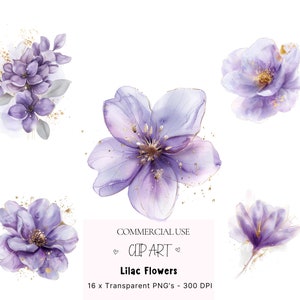 16 clipart de flores lilás, estampa floral lilás, clipart de flor rosa, flores lilás PNG, confecção de cartões de flores, artesanato em papel, flores roxas PNG