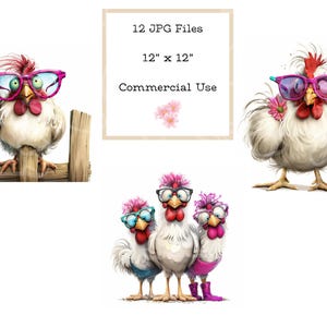 May include: Digital art print featuring several cartoon chickens wearing glasses. One chicken is perched on a wooden fence. The image includes text that reads "12 JPG Files" and "12" x 12" Commercial Use."