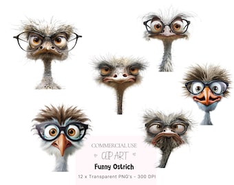 Funny Ostrich Clipart Bundle, Quirky Birds PNG (Commercial Use)