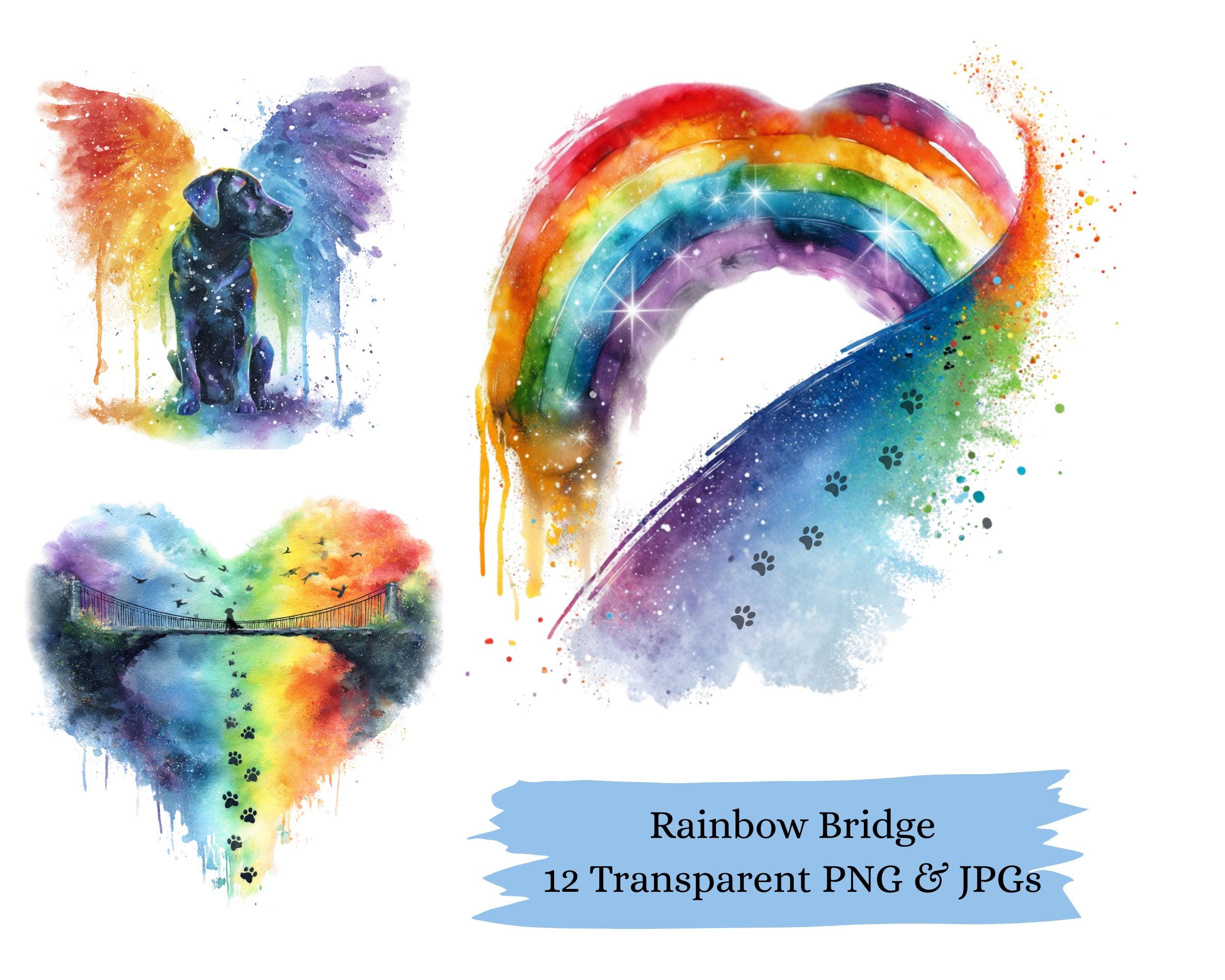Bracciale Memoriale Per Animali - Ponte Arcobaleno - Perline 7 Chakra - Cane Gatto