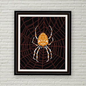 Puede incluir: Una imagen enmarcada en negro con una araña marrón y blanca en una telaraña. La araña es naranja con marcas blancas y tiene patas largas.