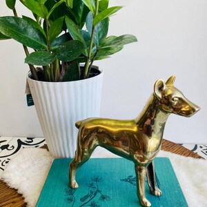 May include: A polished brass dog figurine standing on a teal hardcover book titled Old Con and Patrick. The dog has pointed ears and a smooth, reflective surface. The book features black line illustrations of a bird and a fish on its cover.