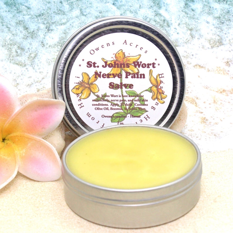 St. JOHNS WORT Salve / Herbal Salve for Nerve Pain Joint Etsy