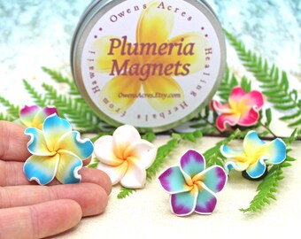 PLUMERIA MAGNETS / Fimo Clay Plumeria Magnets / Plumeria Flower / Gift Set / Fridge Magnets / Made in Hawaii Gift