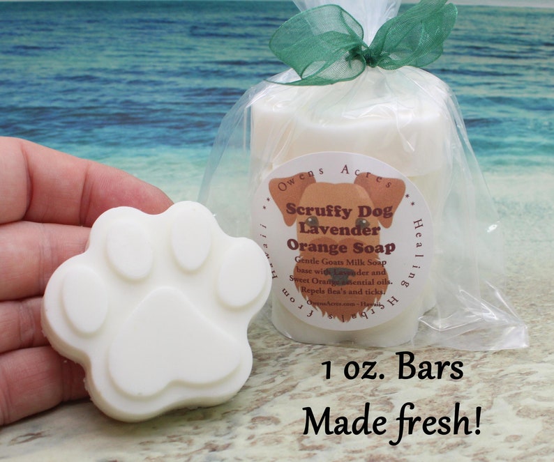 Dog Soap / Flea and Tick Soap for Dogs / Pet Grooming / Dog Etsy