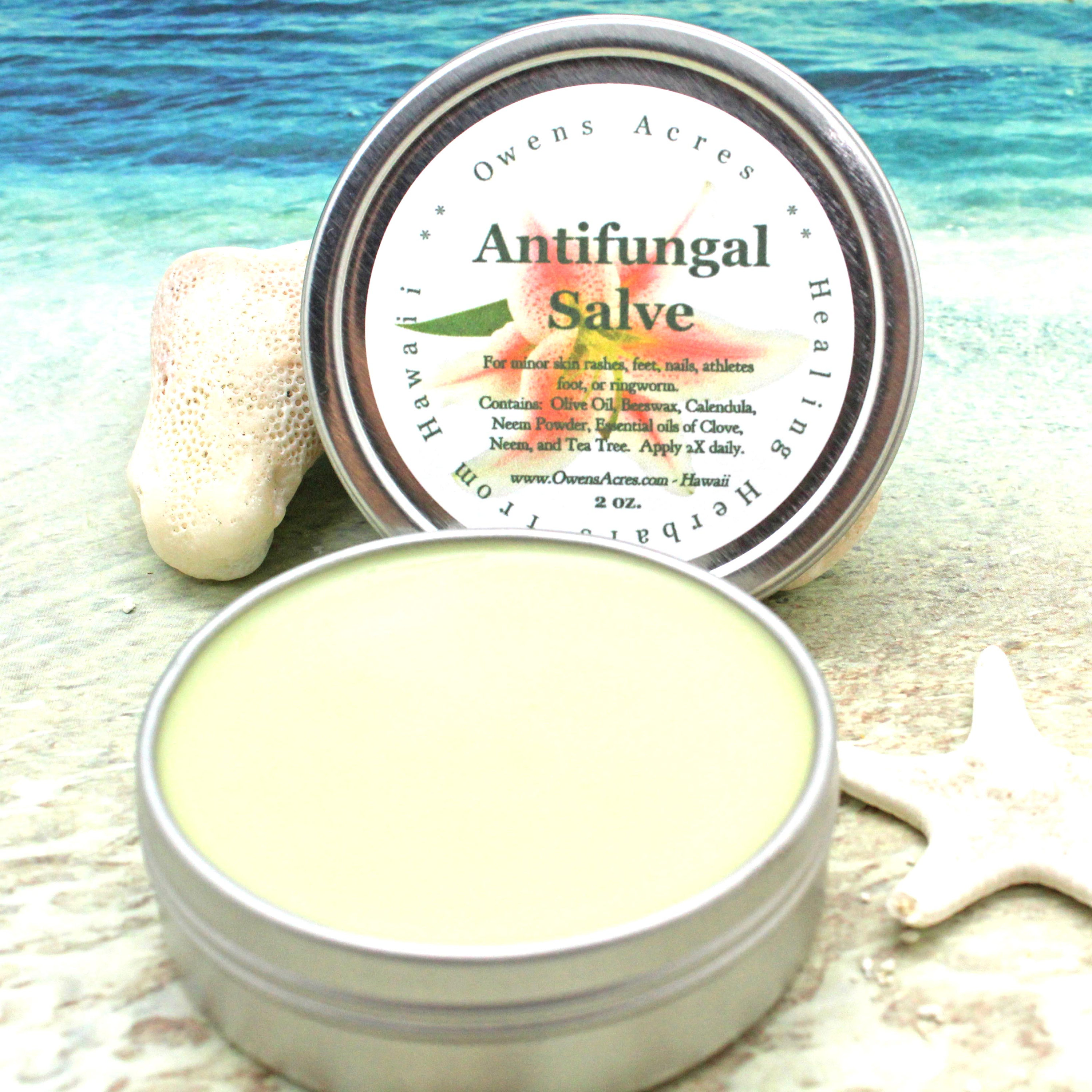 ANTIFUNGAL Salve / Herbal Salve for Fungal Skin Issues / Nail Etsy