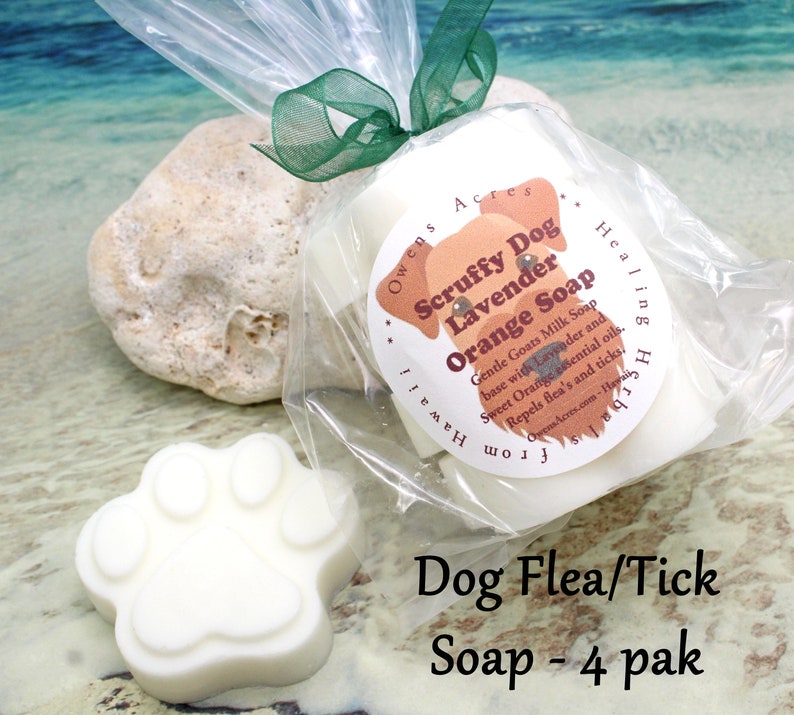 Dog Soap / Flea and Tick Soap for Dogs / Pet Grooming / Dog Etsy