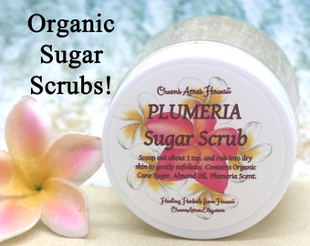 Organic Sugar Scrub / 8 Scents / Body Polish / Self Care Gift / Shower Scrub / Dry Skin Relief / Booty Scrub / Aromatherapy Gift