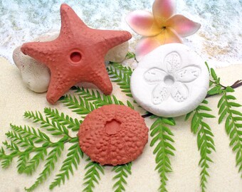 Essential Oil Stones / Room Diffuser / Essential Oil Gift / Diffuser Stones / Beach Decor / Starfish Decor / Terracotta Stones for Oils
