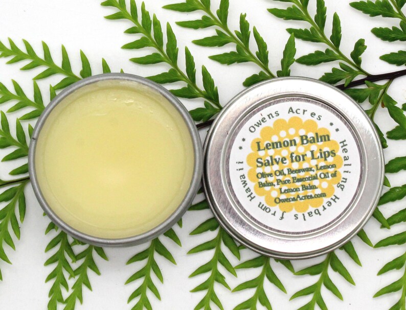 Lemon Balm Salves / Skin Salve / Lip Balm / Insect Bites / Etsy