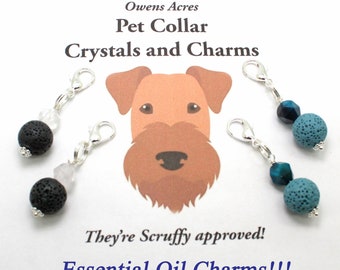 ON SALE!!!  Pet Collar Charm / Lava Bead for Essential Oils / Pet Jewelry / New Pet Gift / Pet Charms / Charms for Dogs / Charms for Cats