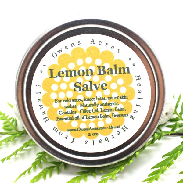 Lemon Balm Salves / Skin Salve / Lip Balm / Insect Bites / Herbal Salve