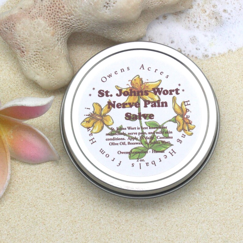 St. JOHNS WORT Salve / Herbal Salve for Nerve Pain Joint Etsy