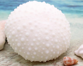 SEA URCHIN Goats Milk Soap / Sea Urchin / Tropical Soap / Goats Milk Soap / Beach Decor / Guest Soap / Sea Life