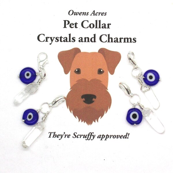 Cat Protection Charm Etsy