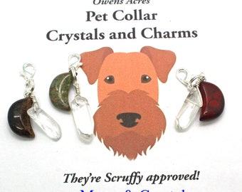 Pet Collar Charm / GEMSTONE MOON and Crystal / Pet Jewelry / New Pet Gift / Pet Charms / Pet Healing / Charms for Dogs / for Cats