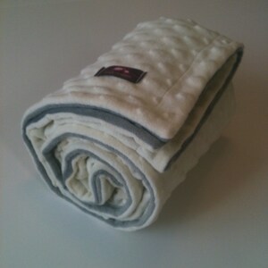 Minky Blanket, Baby Blanket, Crib Blanket, Baby Gift, Gray and Cream Blanket