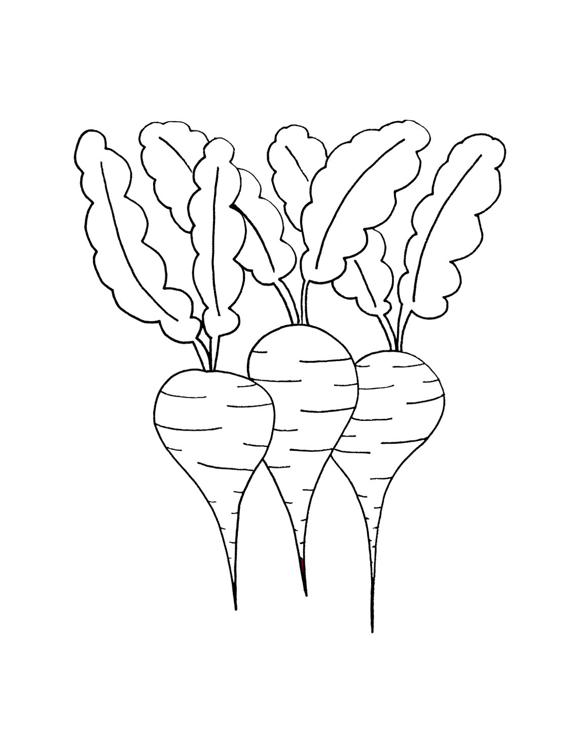DIGITAL DOWNLOAD Beets Coloring Sheet Food Coloring Sheet Etsy