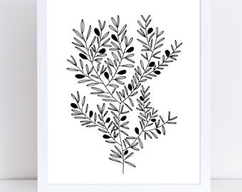 Fine Art Print Olive Branch Peaceful Hand Drawn Illustration